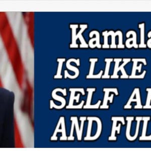 カルマラはおむつのようなもの - 反ハリス政治おもしろい