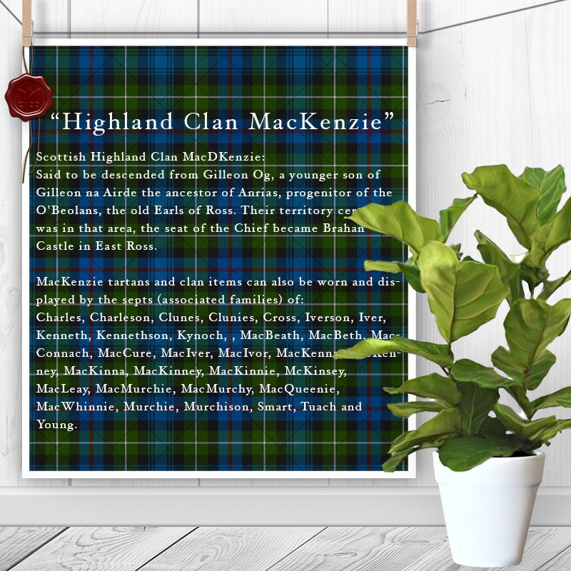 Schottischer Großer Dudelsack Set Hochland Highland Bag Pipe Bagpipe