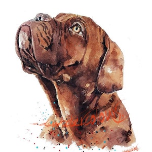 Dogue de Bordeaux Waiting &quot; Print Watercolour.dogue de bordeaux art,dogue de bordeaux print,DDB print,DDB watercolour
