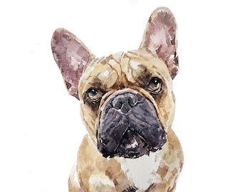 Fawn French Bulldog - Pomp " Print Watercolour, frenchie watercolour, frenchie art print, frenchie wall hanging,French bulldog fawn art