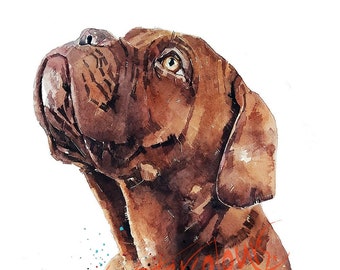 Dogue de Bordeaux Waiting " Print Watercolour.dogue de bordeaux art,dogue de bordeaux print,DDB print,DDB watercolour