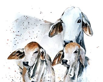 Brahman-vee." Print aquarel. Brahman-afdruk, Brahman-aquarel, Brahman-schilderij, Brahman-veekunst, Brahman-koe Artprint