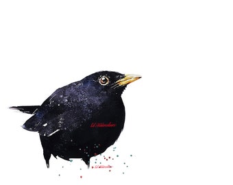 Common blackbird " Print Watercolour,Common blackbird art,Common blackbird print,Eurasian blackbird artEurasian blackbird watercolour