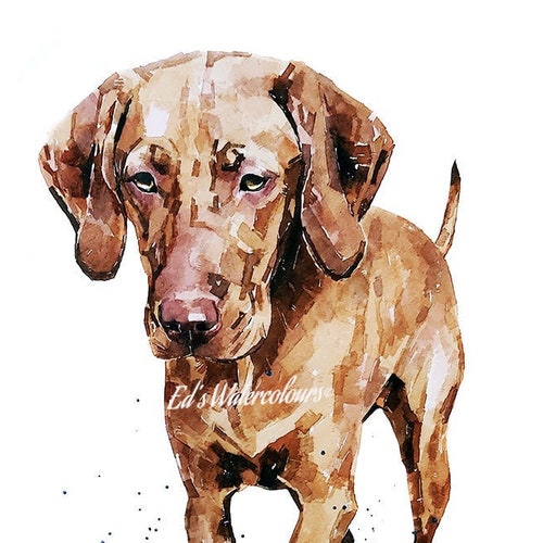 Vizsla on the go print watercolour vizsla artvizsla etsy