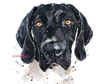 Black German Shorthaired Pointer  - GSP Print Watercolour,German Shorthaired Pointer,GSP print, GSP Art