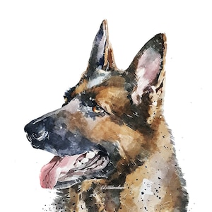 German Shepherd The Boss &quot; Print Watercolour.GSD Art, GSD Watercolour, German shepherd art print, German Shepherd Watercolor art