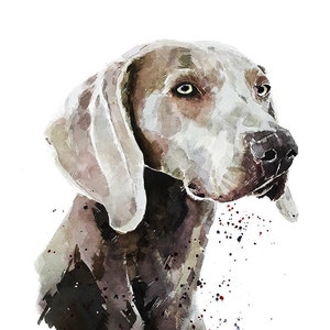 Der Boss - Weimaraner " Druck Aquarell.Weimaraner Aquarell, Weimaraner Kunst, Weimaraner Wandbehang, Weimaraner Druck, Hund Kunstdruck