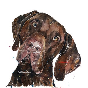 May include: Watercolour painting of a brown dog against a white background. The dog is looking at the viewer with its head tilted to the side. The painting is signed "Ed's Watercolours" in the bottom right corner.