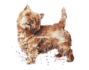 Norwich Terriers on Board Dog Sign Decal Terrier Art V02 Car Window Sticker