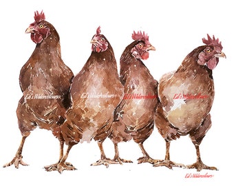 May include: Four brown chickens with red combs stand side-by-side, facing right. The chickens are painted in a watercolor style with a white background.