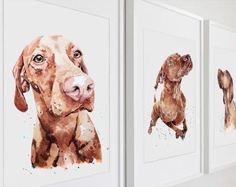 Three Vizslas | Dog Art Print | Edswatercolours