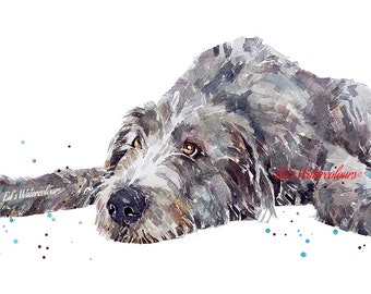 Irish Wolfhound &quot; Print Watercolour,Irish Wolfhound art,Irish Wolf Houndprint, Irish Wolfhound watercolour, Irish Wolfhound art print