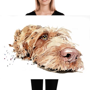 Wirehaired Vizsla" Print Watercolour.Wirehaired Vizsla art,Wirehaired Vizsla print,Wirehaired Vizsla watercolour,Wirehaired Vizsla wall art