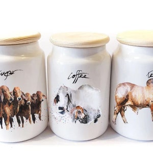 Brahman Cattle Ceramic Tea,Coffee and Sugar Storage Jars. Brahman Cattle  Canisters,Brahman Cattle  Storage Jars,Brahman Cattle kitchenware