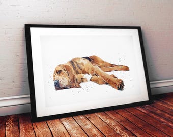 Puede incluir: Una lámina de arte enmarcada que presenta una ilustración en acuarela de un perro sabueso de color marrón y tostado tumbado en una posición relajada. La obra se presenta en un marco negro sencillo con un paspartú blanco que resalta al animal.