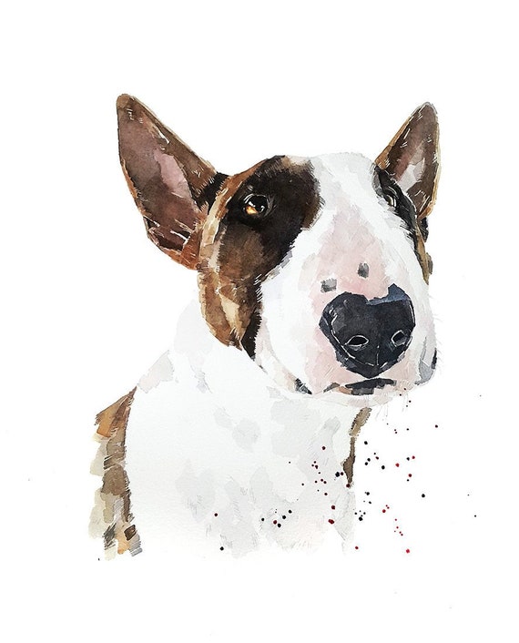 Brindle bull terrier 2025