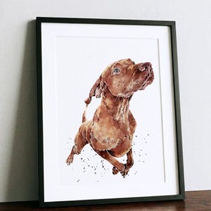 Vizsla - What's cooking? | Dog Art Print | Edswatercolours