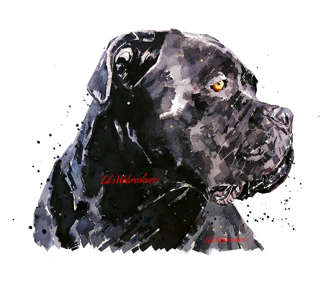 Cane Corso Watercolour Print.cane Corsor Artcane Etsy