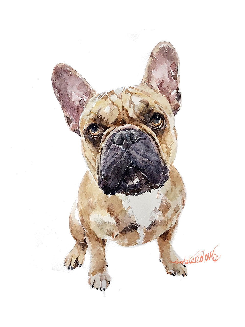フレンチブルドッグ子鹿アート - ポンプ  プリント水彩画