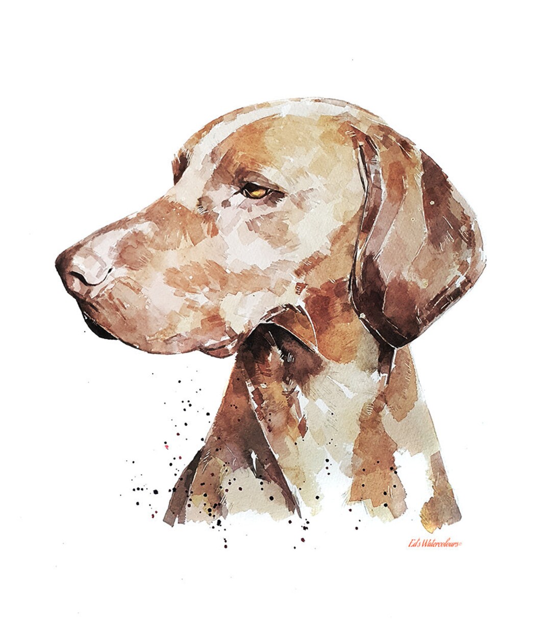 Vizsla a Penny for Your Thoughts Print Watercolour - Etsy UK