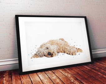May include: A framed art print featuring a watercolor-style illustration of a light brown, shaggy-haired dog lying down. The dog has a dark nose and expressive eyes, surrounded by small black paint splatters on a clean white background.
