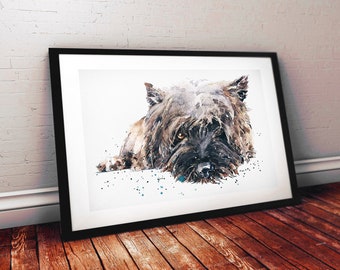 May include: Watercolour painting of a brown and black Cairn Terrier dog lying down with its head resting on its paws. The dog has a white background with blue and black splatters of paint.