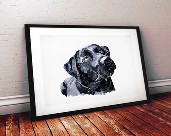 Black Labrador | Dog Art Print | Edswatercolours