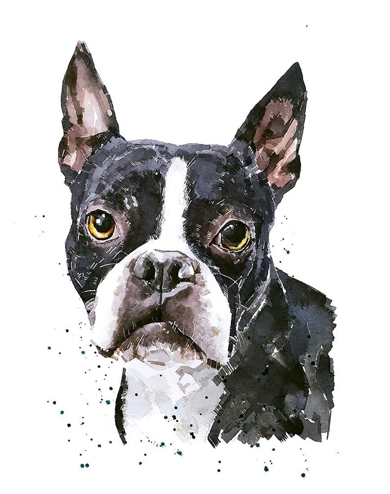 Boston Terrier Print Watercolour