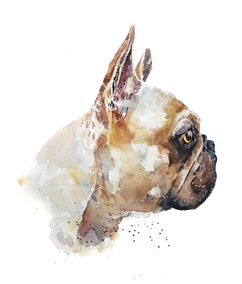 Eye on the Prize French Bulldog. Print Watercolour Frenchie Etsy UK