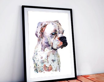 White Boxer Dog -I see right through you -   Print Watercolour,Boxer dog Print,Boxer dog Watercolour,boxer dog art,Boxer dog decor