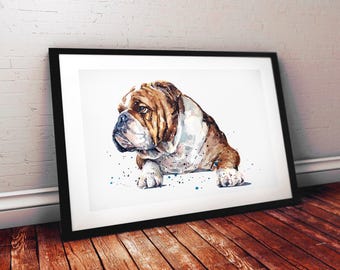 English Bulldog | Dog Art Print | Edswatercolours