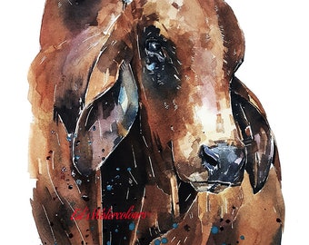 Brahman rood 2 "print aquarel