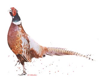 Ring Neck Pheasant"Mr Perfect" Print Watercolour.Pheasant watercolour,Pheasant print,Pheasant wall art,Pheasant painting,Pheasant home decor