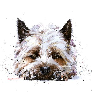 Cairn Terrier 2&quot; Print Watercolour. Cairn Terrier art,Cairn Terrier print,Cairn Terrier watercolour print.Cairn Terrier dog art