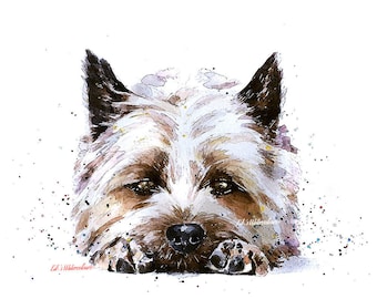 Cairn Terrier 2" Print Watercolour. Cairn Terrier art,Cairn Terrier print,Cairn Terrier watercolour print.Cairn Terrier dog art