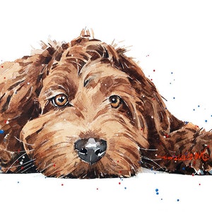 Labradoodle Passed Out - Watercolour Print.Labradoodle art,Labradoodle print,Labradoodle watercolour,Labradoodle wall art