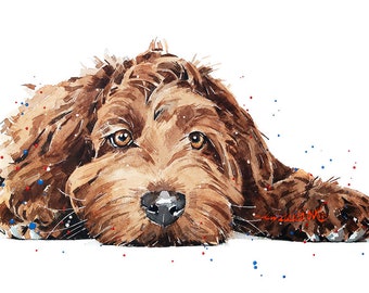 Labradoodle Passed Out - Watercolour Print.Labradoodle art,Labradoodle print,Labradoodle watercolour,Labradoodle wall art