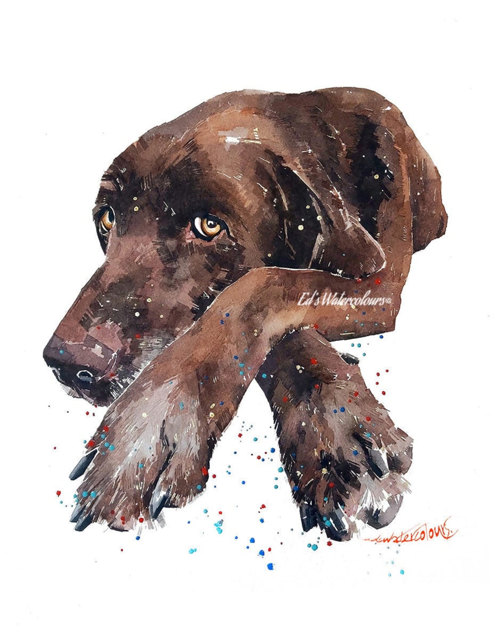Chocolate Labrador Reclined Print Watercolour. Labrador | Etsy