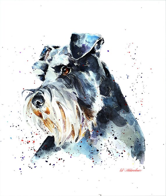 schnauzer art