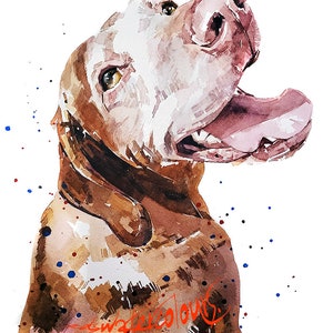 Vizsla - Sugar Face II"  Print Watercolour. Vizsla art,Vizsla print,Vizsla Watercolour,Vizsla Wall Decor, Vizsla Wall Hanging.
