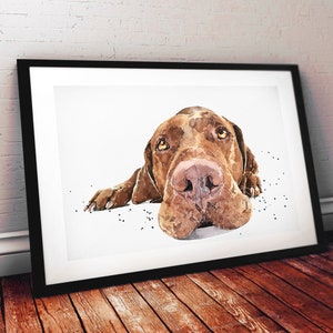 Vizsla Passed Out" Print Watercolour.Vizsla art,Vizsla print,Vizsla Watercolour,Vizsla Wall Decor, Vizsla Wall Hanging,Dog Art Print.