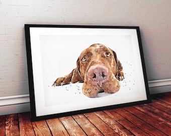 Vizsla Version II | Dog Art Print | Edswatercolours