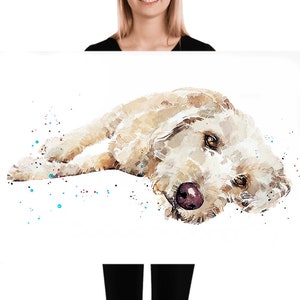 Labradoodle Reclined ." Print Watercolour. Labradoodle watercolor,Labradoodle art print, Labradoodle wall hanging,Labradoodle print.