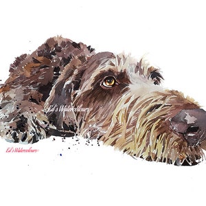 May include: Watercolour painting of a brown and white dog with a long snout and floppy ears. The dog is lying down with its head turned to the side and its eyes looking at the viewer. The painting is done in a realistic style and has a soft, muted colour palette.