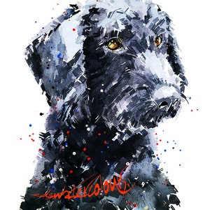 Black Labradoodle Poised ." Print Watercolour. Labradoodle watercolor,Labradoodle art print, Labradoodle wall hanging,Labradoodle print.