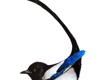 Magpie Tail Feather "  Watercolour Print,Magpie art,Magpie watercolour,Magpie watercolour print,Magpie art wall hanging,Magpie painting