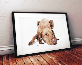 Vizsla Version II | Original Watercolour | Dog Lover Gift | Edswatercolours