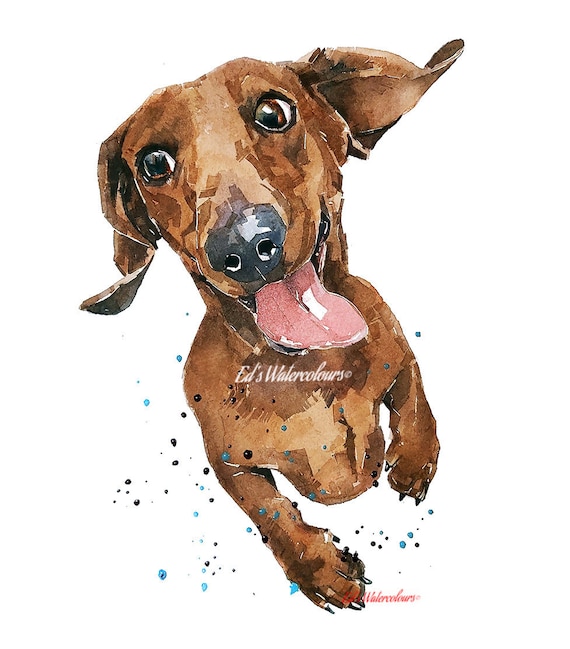 空飛ぶソーセージ犬」プリント水彩画。ダックスフントアート