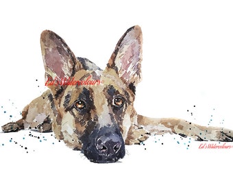 Duitse Herder Flauwgevallen "Print Aquarel.GSD Kunst, GSD Aquarel, Duitse herder kunst print, Duitse Herder Aquarel kunst