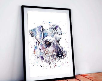 Schnauzer II | Dog Art Print | Edswatercolours
